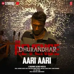 Cover image for Aari Aari