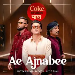 Cover image for Ae Ajnabee