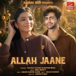 Cover image for Allah Jaane