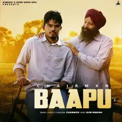 Cover image for Baapu