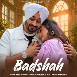 Cover image for Badshah