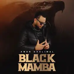 Cover image for Black Mamba