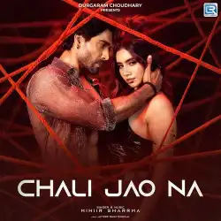 Cover image for Chali Jao Na
