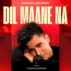 Cover image for Dil Maane Na
