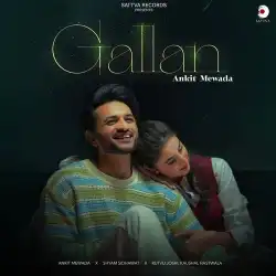Cover image for Gallan