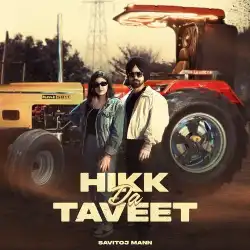 Cover image for Hikk Da Taveet