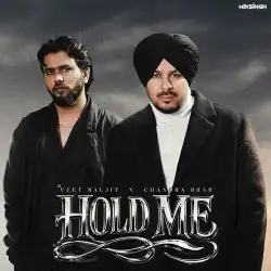 Cover image for Hold Me
