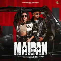 Cover image for Maidan