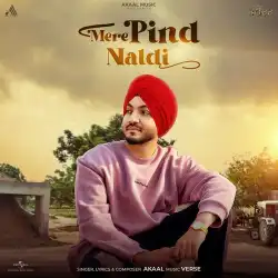Cover image for Mere Pind Naldi