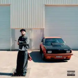 Cover image for Misunderstood