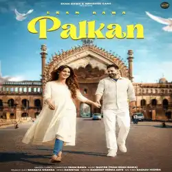 Cover image for Palkan