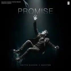 Cover image for Promise