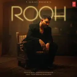 Cover image for Rooh