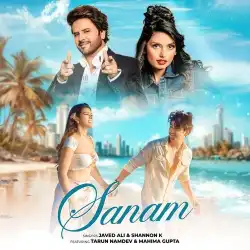 Cover image for Sanam