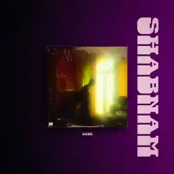 Cover image for Shabnam