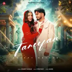 Cover image for Tareefan