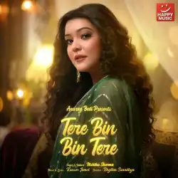 Cover image for Tere Bin Bin Tere