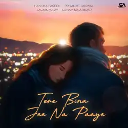 Cover image for Tere Bina Jee Na Paaye