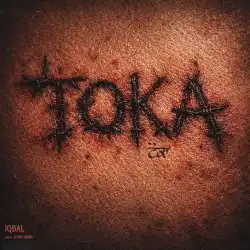 Cover image for Toka